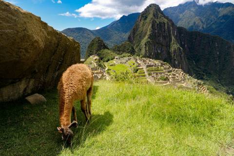 Turismo en Perú para mexicanos: Cultura, aventura y sabores inolvidables